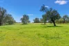 5059 South Western Highway, Fairbridge, WA 6208-Image
