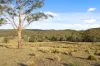 507 Harolds Cross Road, Braidwood, NSW 2622-Image