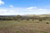 507 Harolds Cross Road, Braidwood, NSW 2622-Image