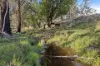 507 Harolds Cross Road, Braidwood, NSW 2622-Image