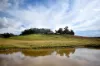 507 Harolds Cross Road, Braidwood, NSW 2622-Image