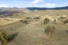 507 Harolds Cross Road, Braidwood, NSW 2622-Image