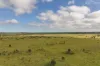 5074 Alpha Tambo Road, Alpha, Qld 4724