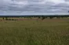 5074 Alpha Tambo Road, Alpha, Qld 4724-Image