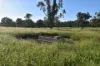 5074 Alpha Tambo Road, Alpha, Qld 4724-Image