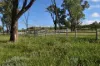 5074 Alpha Tambo Road, Alpha, Qld 4724-Image