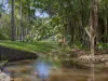 51 Lindeman Road, Beerwah QLD 4519-Image