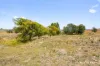 51 Speargrass Lane, Michelago, NSW 2620-Image