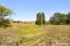 51 Speargrass Lane, Michelago, NSW 2620-Image