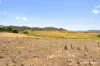 51 Speargrass Lane, Michelago, NSW 2620-Image