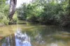 513 Norton Road, Boynedale QLD 4680-Image
