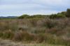5180 Southern Ports Highway, Robe SA 5276-Image