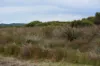 5180 Southern Ports Highway, Robe SA 5276-Image