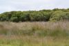 5180 Southern Ports Highway, Robe SA 5276-Image