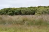 5180 Southern Ports Highway, Robe SA 5276-Image