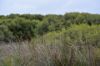 5180 Southern Ports Highway, Robe SA 5276-Image