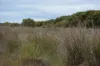 5180 Southern Ports Highway, Robe SA 5276-Image