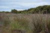 5180 Southern Ports Highway, Robe SA 5276-Image