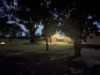 52 Cheecum Rd, Moree, NSW 2400-Image