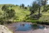 52 Gabulah Road, Gresford, NSW 2311-Image