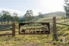 52 Gabulah Road, Gresford, NSW 2311-Image