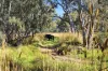 520 King Parrot Creek Road, Kerrisdale, Vic 3660-Image