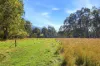 520 King Parrot Creek Road, Kerrisdale, Vic 3660-Image