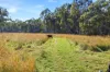 520 King Parrot Creek Road, Kerrisdale, Vic 3660-Image