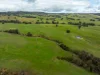 520 Woolshed Lane, Wagga Wagga, NSW 2650-Image