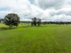 520 Woolshed Lane, Wagga Wagga, NSW 2650-Image