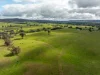 520 Woolshed Lane, Wagga Wagga, NSW 2650-Image