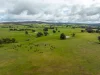 520 Woolshed Lane, Wagga Wagga, NSW 2650-Image