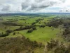 520 Woolshed Lane, Wagga Wagga, NSW 2650-Image