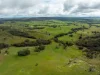 520 Woolshed Lane, Wagga Wagga, NSW 2650-Image