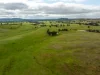 520 Woolshed Lane, Wagga Wagga, NSW 2650-Image