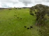 520 Woolshed Lane, Wagga Wagga, NSW 2650-Image