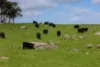 529 Military Road, Harrogate, SA 5244-Image
