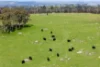 529 Military Road, Harrogate, SA 5244-Image