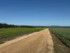 534 Lawrence Road, Kapinnie, SA 5632-Image
