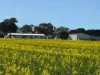 534 Lawrence Road, Kapinnie, SA 5632-Image