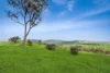 53A & 53K Northern Highway, Pyalong, Vic 3521-Image