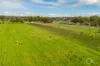 54 Blewitt Springs Road, McLaren Flat, SA 5171-Image
