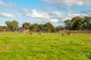 54 Blewitt Springs Road, McLaren Flat, SA 5171-Image