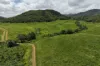 54 Camilleris Road, Mount Charlton, Qld 4741-Image