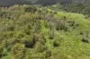 54 Camilleris Road, Mount Charlton, Qld 4741-Image