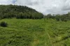 54 Camilleris Road, Mount Charlton, Qld 4741-Image