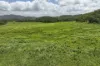 54 Camilleris Road, Mount Charlton, Qld 4741-Image