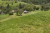54 Camilleris Road, Mount Charlton, Qld 4741-Image