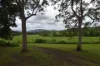 54 Camilleris Road, Mount Charlton, Qld 4741-Image