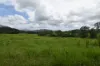 54 Camilleris Road, Mount Charlton, Qld 4741-Image